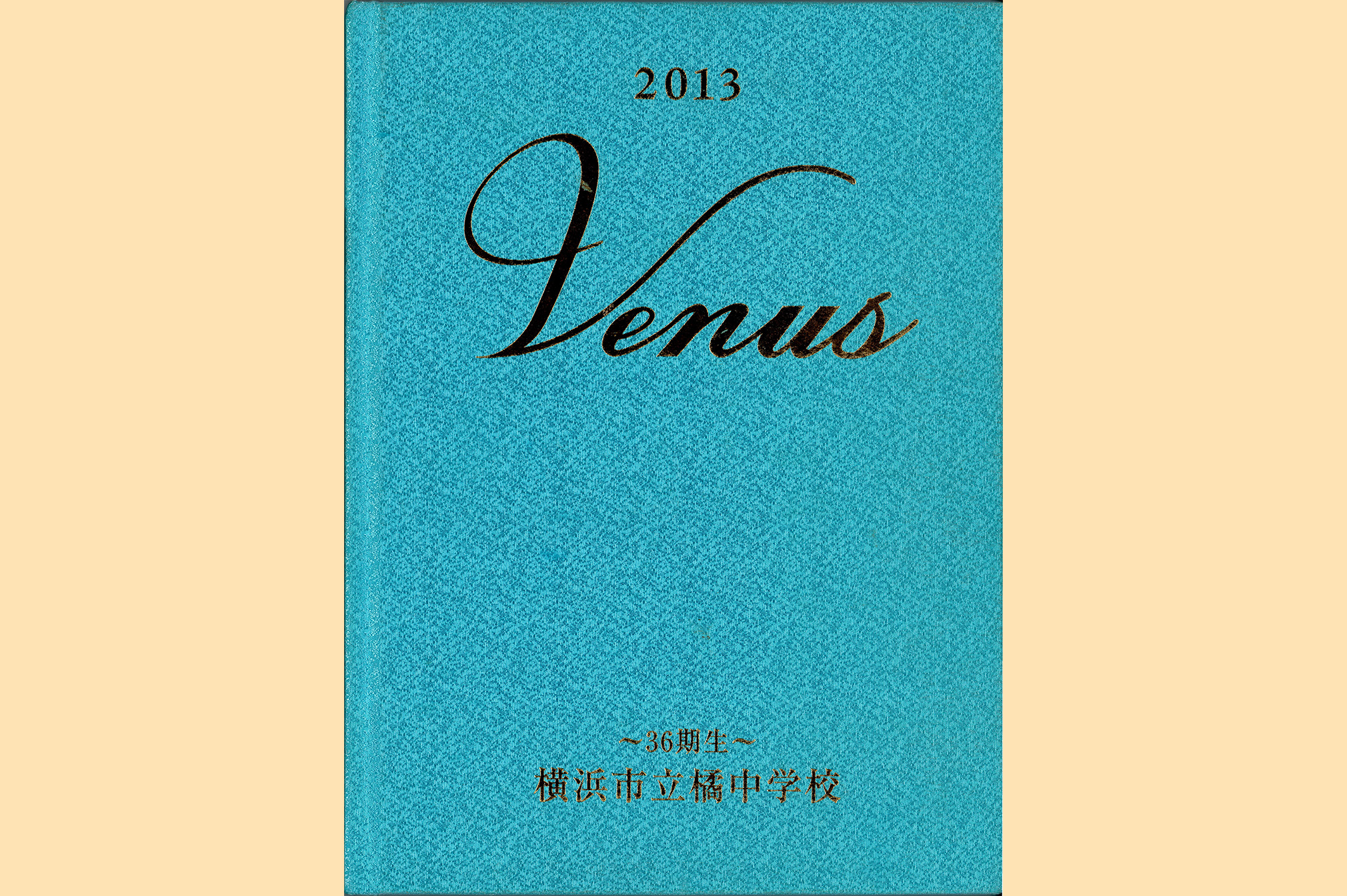 【ダウンロード商品】2013年　横浜市立橘中学校