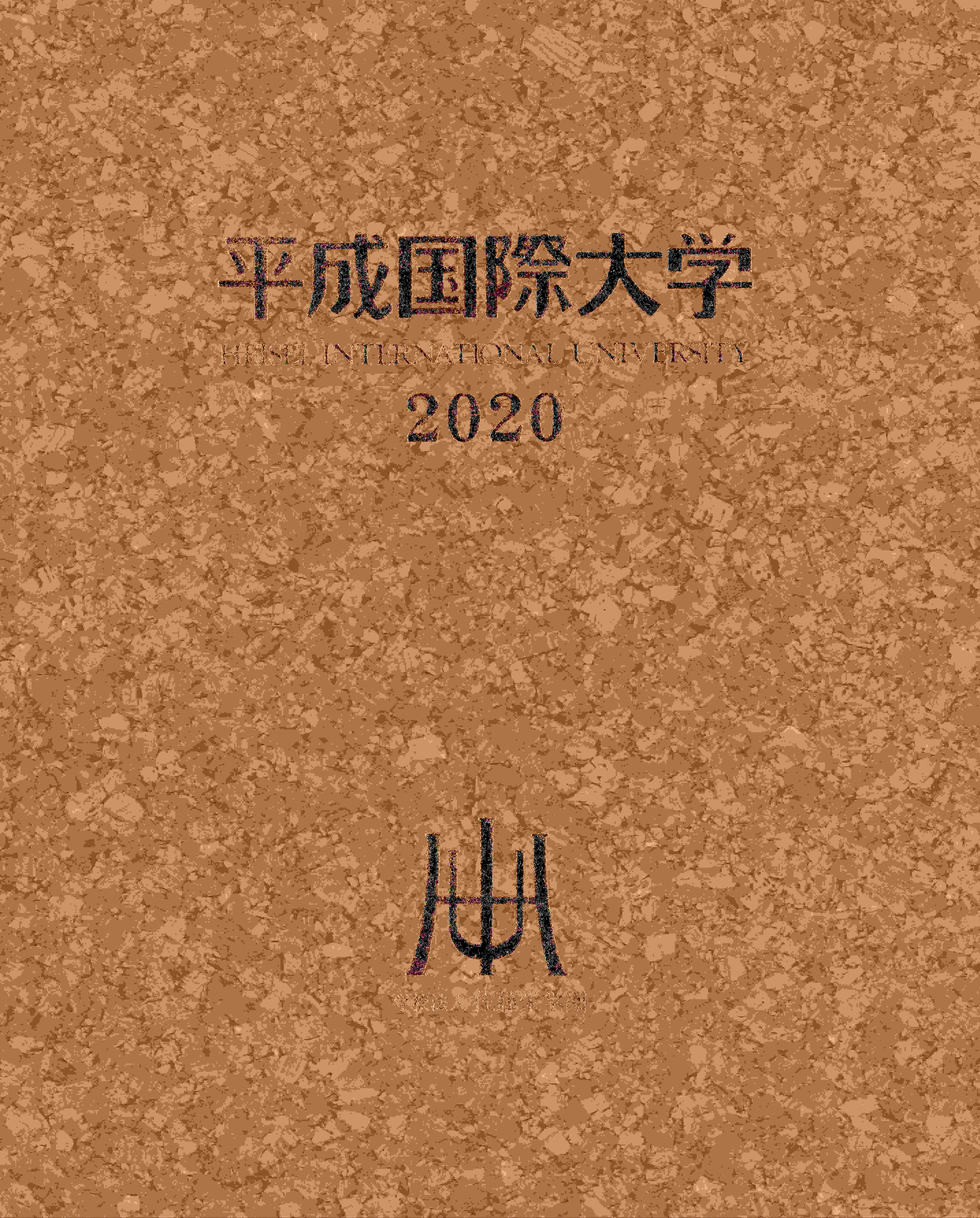 【ダウンロード商品】2020年　平成国際大学